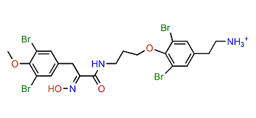 Aplysamine 8